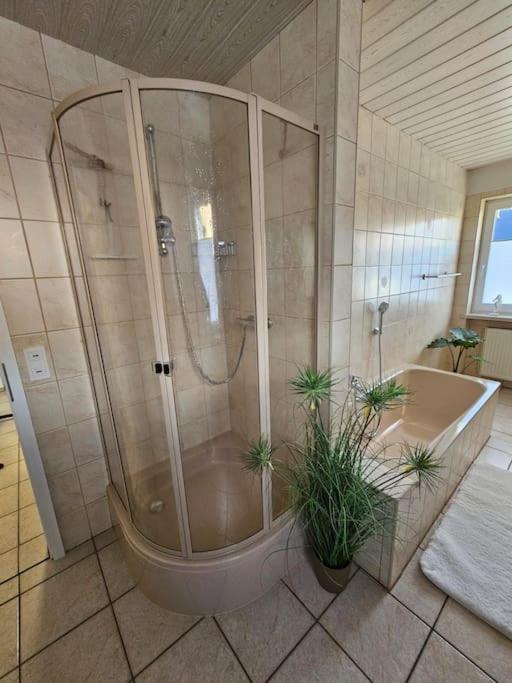 Ferienhaus Distelfink Entspannen In Der Mitte Von Deutschland Gudensberg Luaran gambar